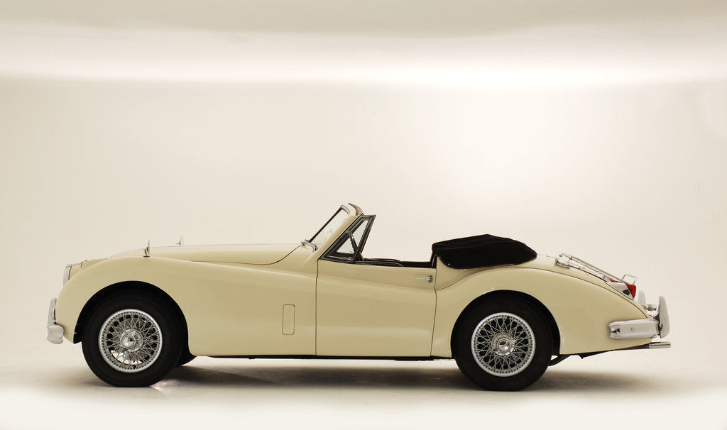 Detail of 1955 Jaguar XK140 by Unknown