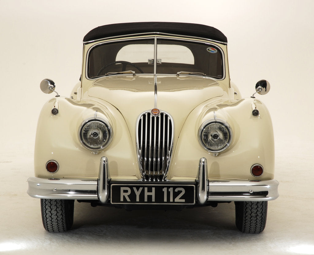 Detail of 1955 Jaguar XK140 by Unknown