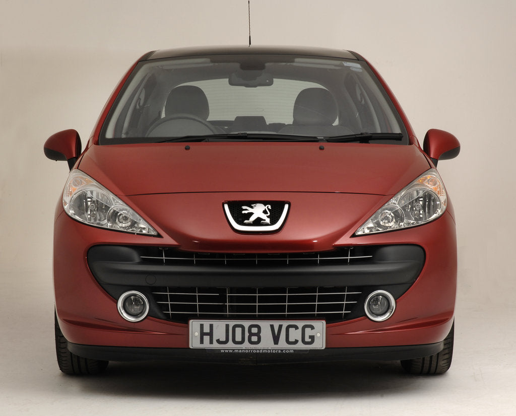 Detail of 2008 Peugeot 207 by Unknown
