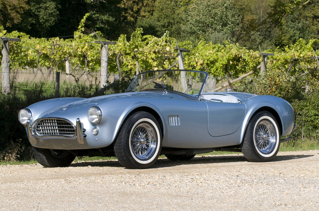 Detail of 1964 AC Cobra MKII 289 by Unknown