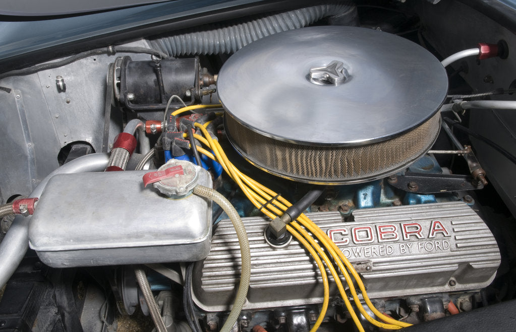 Detail of 1964 AC Cobra MKII 289 by Unknown