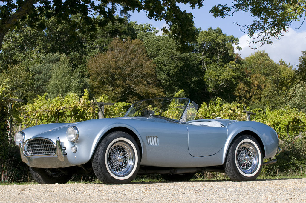 Detail of 1964 AC Cobra MKII 289 by Unknown