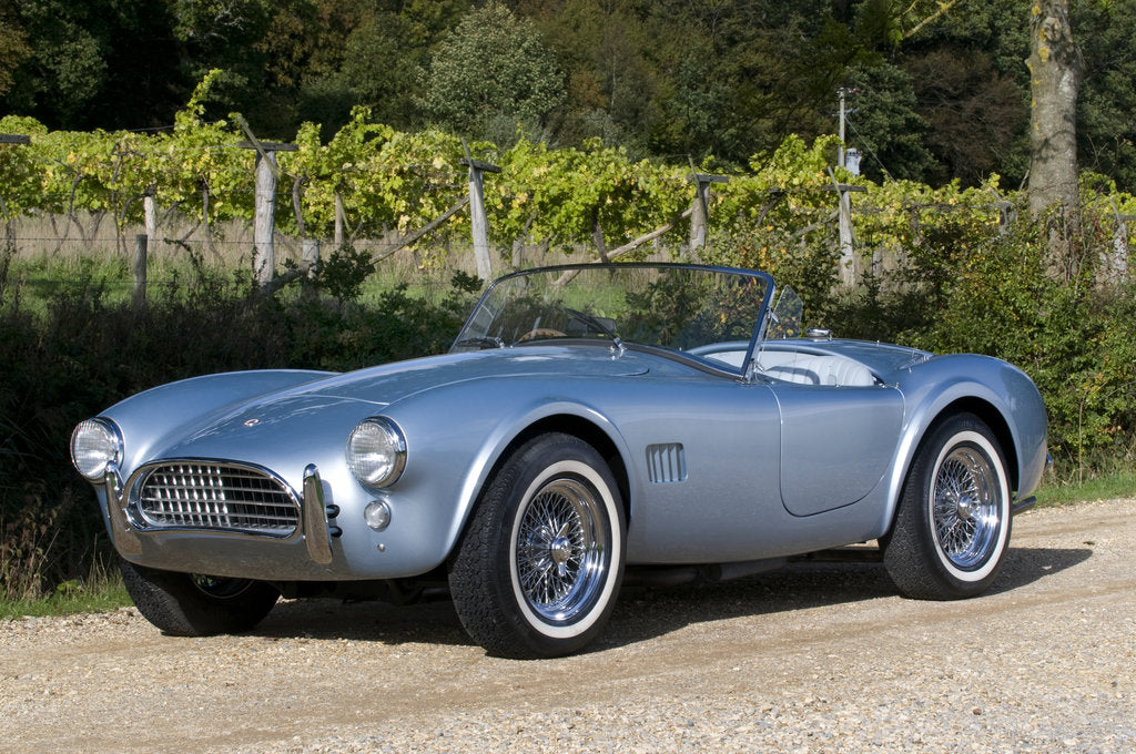 Detail of 1964 AC Cobra MKII 289 by Unknown