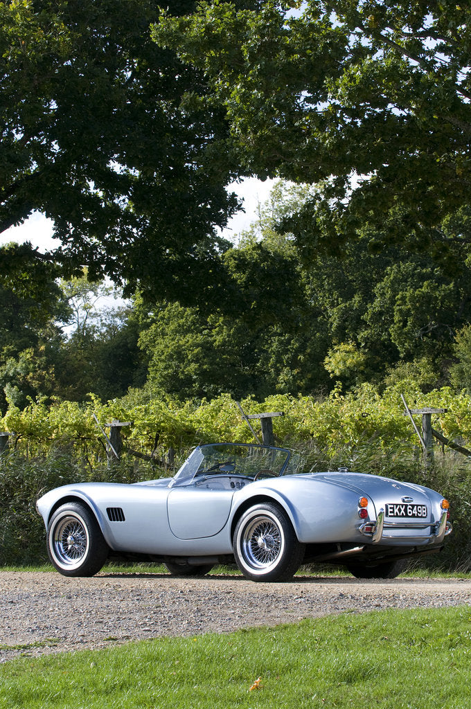 Detail of 1964 AC Cobra MKII 289 by Unknown