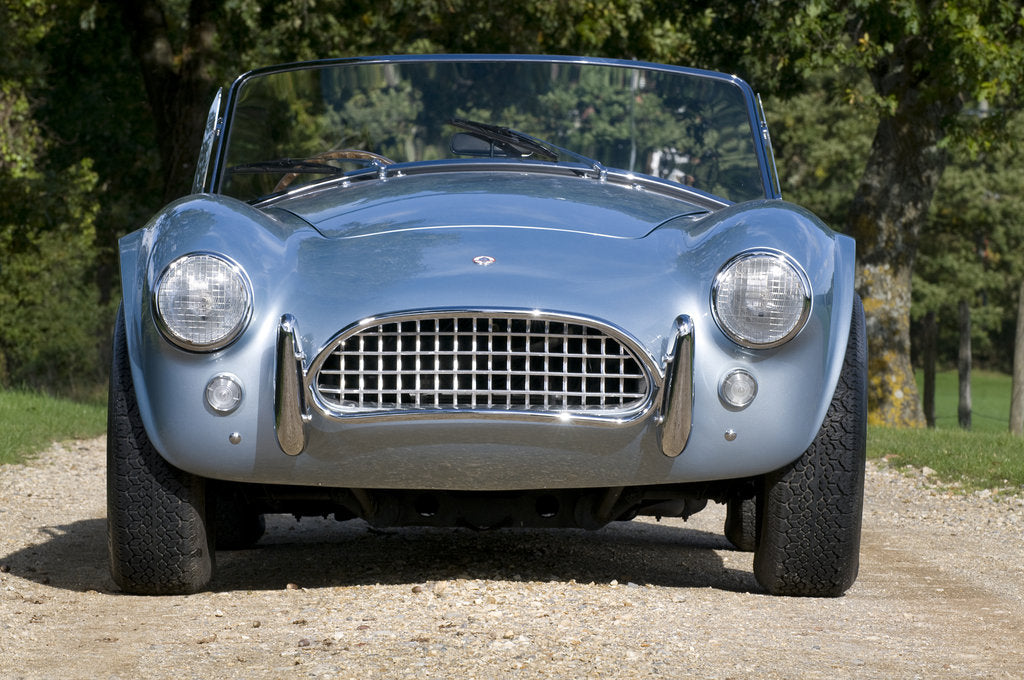 Detail of 1964 AC Cobra MKII 289 by Unknown