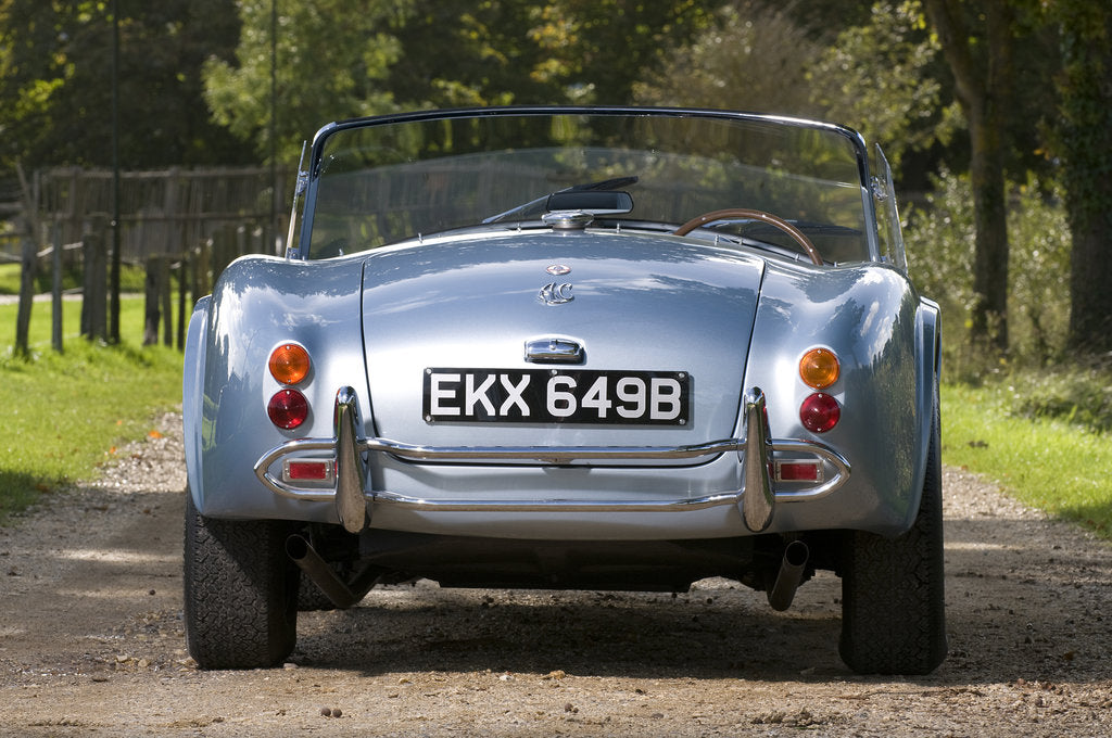 Detail of 1964 AC Cobra MKII 289 by Unknown