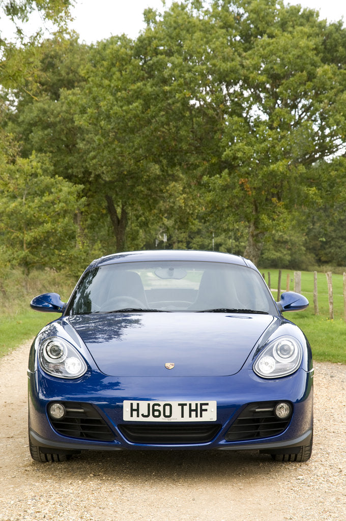 Detail of 2010 Porsche Cayman by Unknown