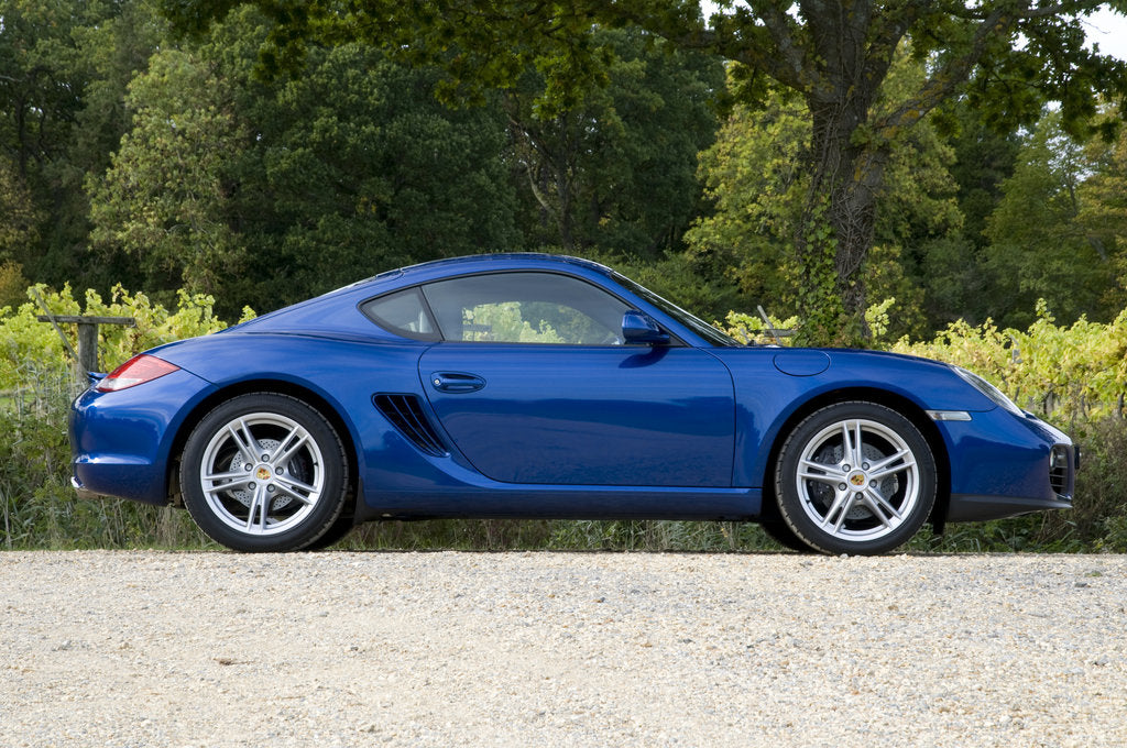 Detail of 2010 Porsche Cayman by Unknown