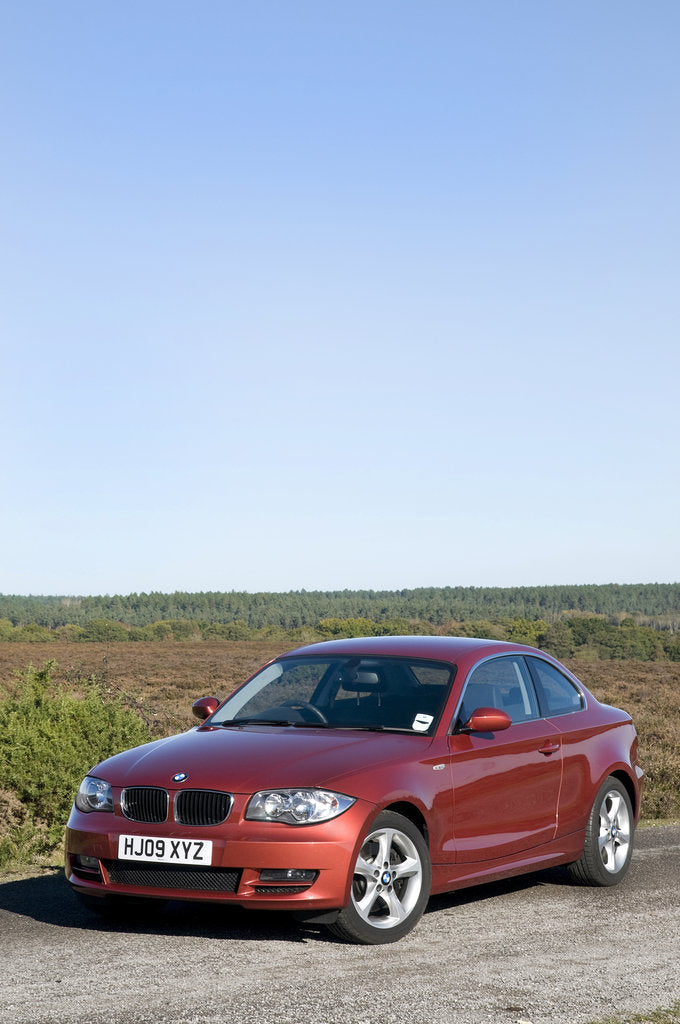 Detail of 2009 BMW 123d by Unknown