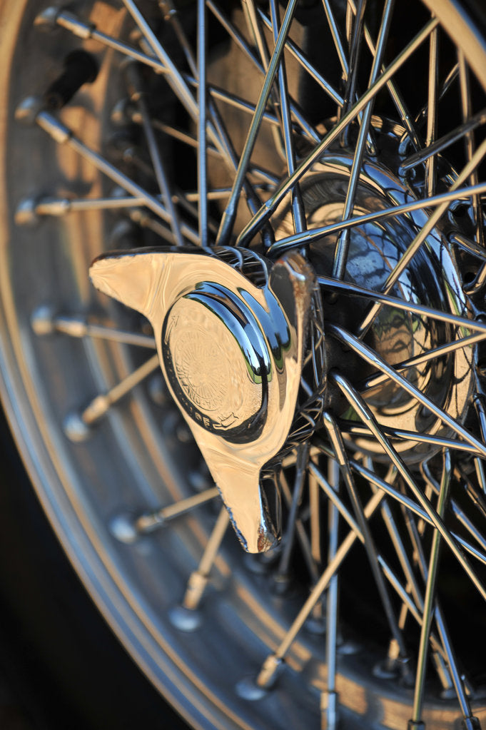 Detail of 1961 Aston Martin DB4 GT by Unknown