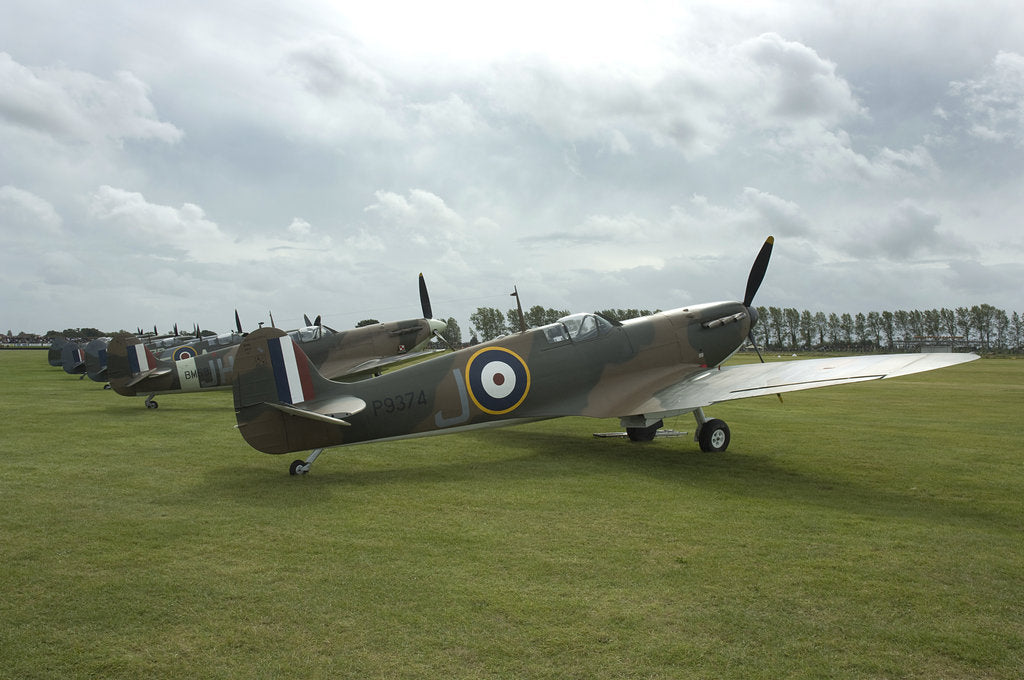 Detail of 2011 Goodwood Revival Meeting, row of Spitfire Aircraft by Unknown