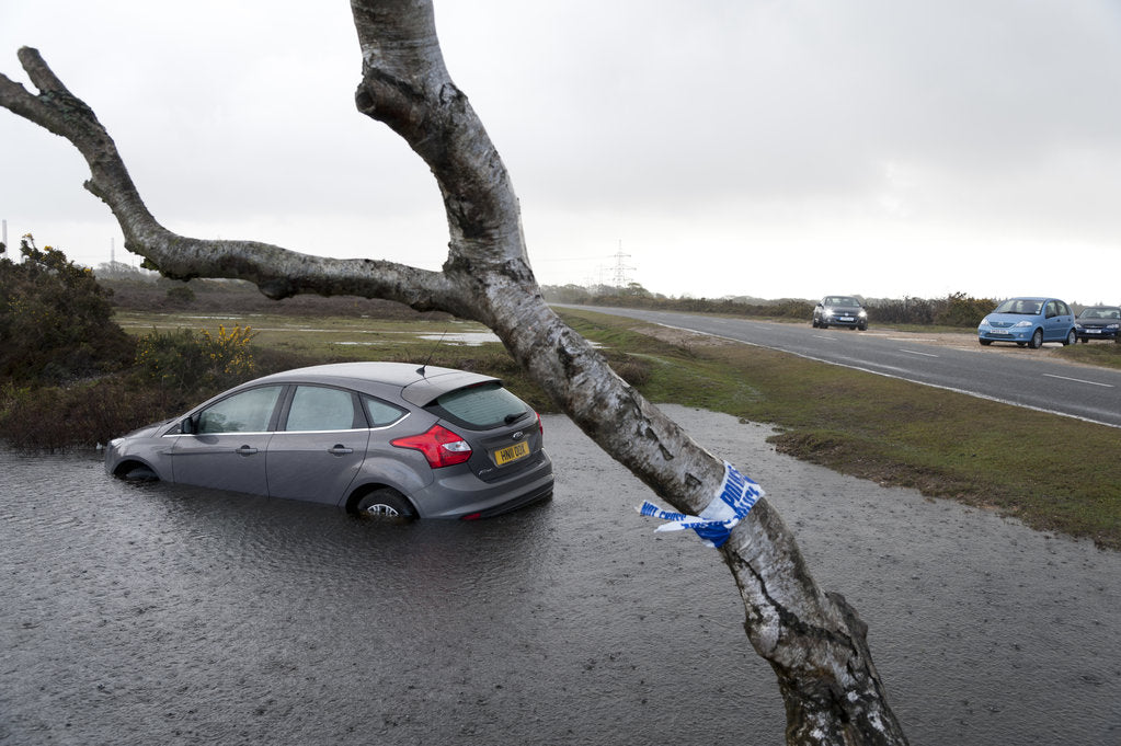 Detail of Ford Focus in flooded ditch after losing control on wet road 2012 by Unknown