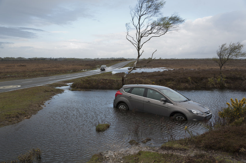 Detail of Ford Focus in flooded ditch after losing control on wet road 2012 by Unknown