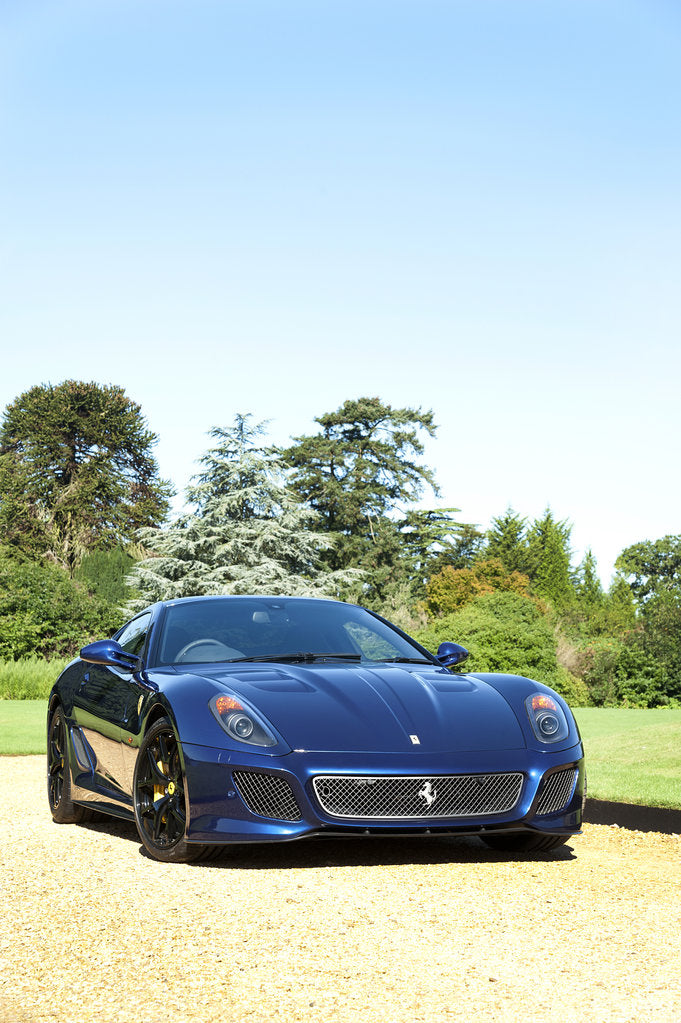 Detail of 2010 Ferrari 599 GTO by Unknown