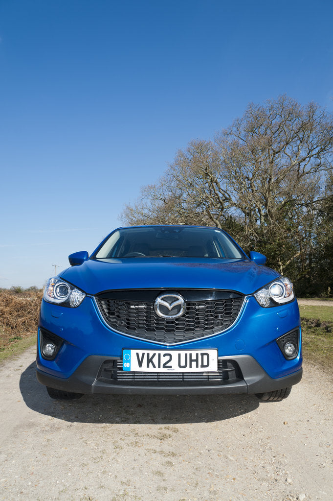 Detail of 2013 Mazda CX-5 by Unknown