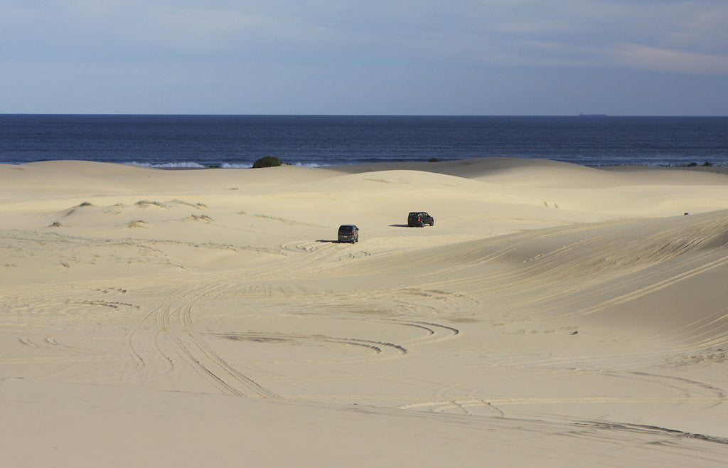 Detail of Mitsubishi Delica Space Gear V6 1996 in sand dunes New South Wales Australia by Unknown