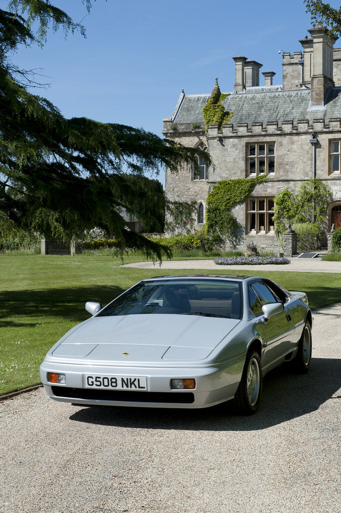 Detail of 1989 Lotus Esprit by Unknown