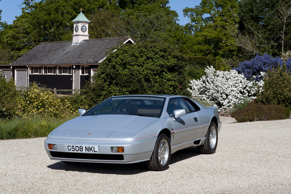 Detail of 1989 Lotus Esprit by Unknown
