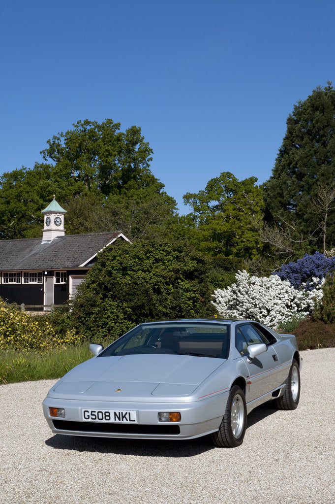 Detail of 1989 Lotus Esprit by Unknown