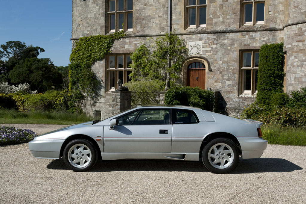 Detail of 1989 Lotus Esprit by Unknown