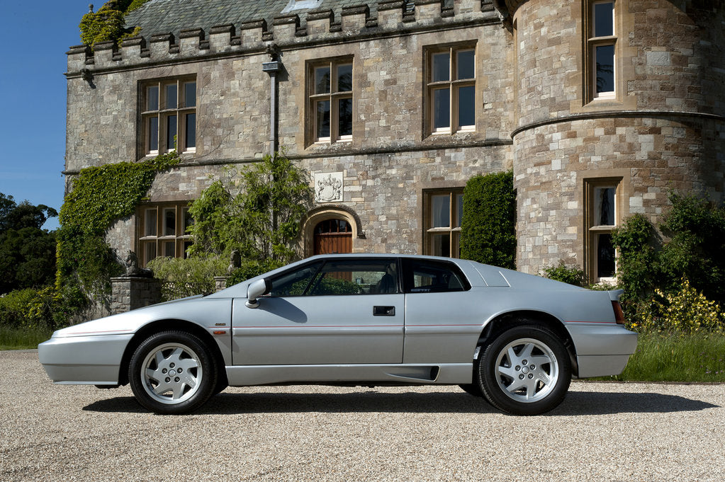 Detail of 1989 Lotus Esprit by Unknown