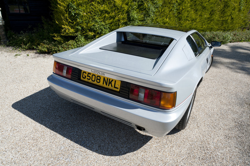 Detail of 1989 Lotus Esprit by Unknown