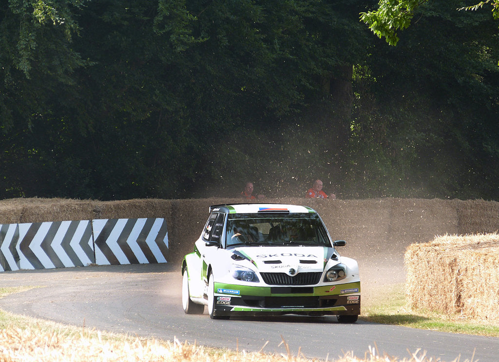 Detail of Skoda Rally car 2013 Goodwood Festival of speed by Unknown