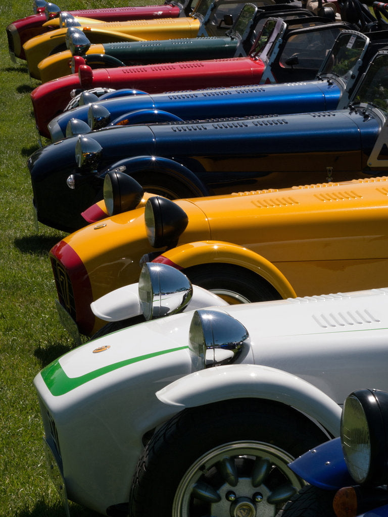 Detail of Row of Caterham Sevens at club meeting event by Anonymous