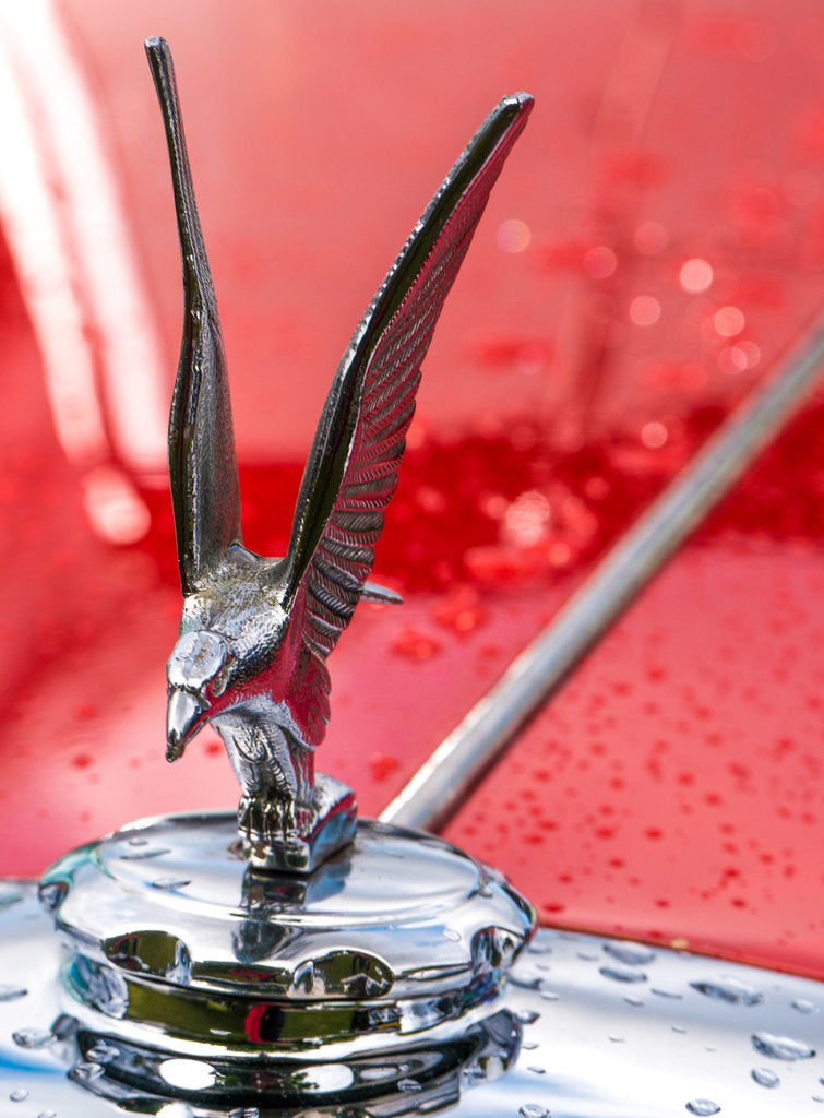 Detail of Alvis Mascot by Anonymous