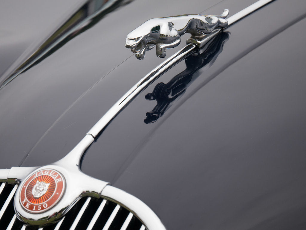 Detail of Leaping cat mascot on Jaguar XK150 by Anonymous