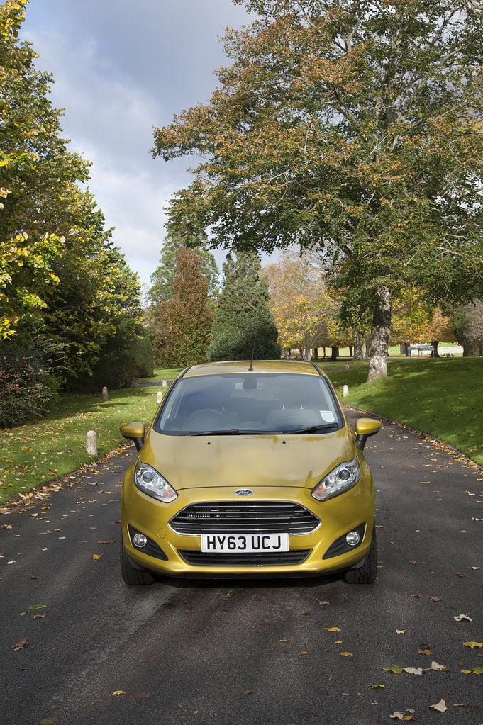 Detail of 2013 Ford Fiesta Econetic by Unknown