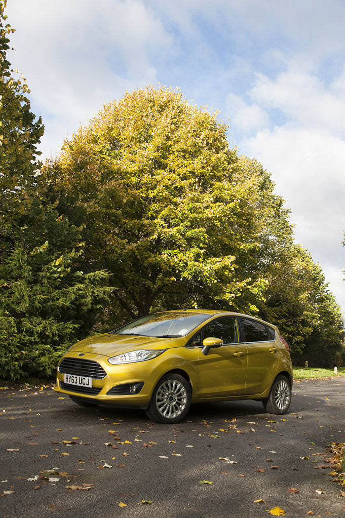 Detail of 2013 Ford Fiesta Econetic by Unknown