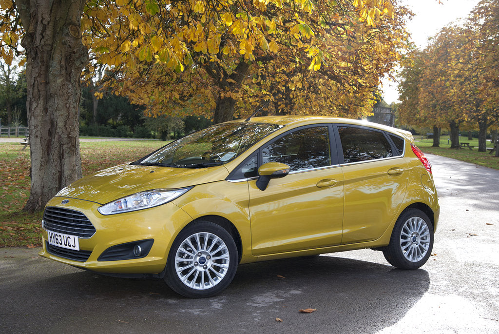 Detail of 2013 Ford Fiesta Econetic by Unknown