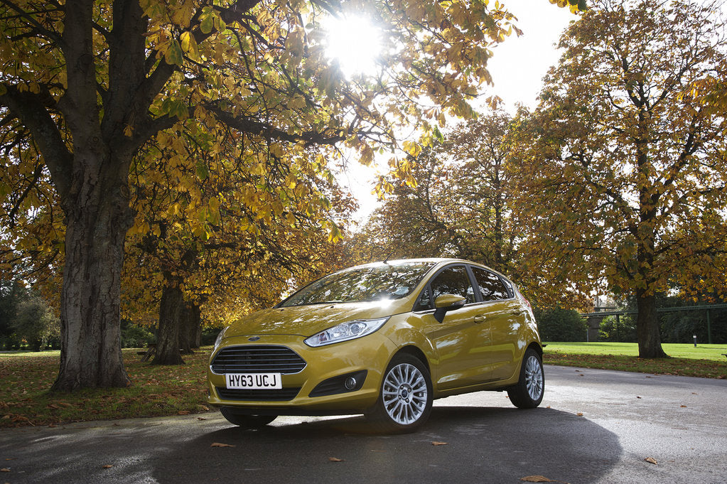 Detail of 2013 Ford Fiesta Econetic by Unknown