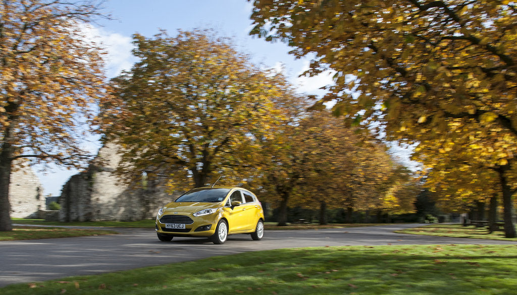 Detail of 2013 Ford Fiesta Econetic by Unknown