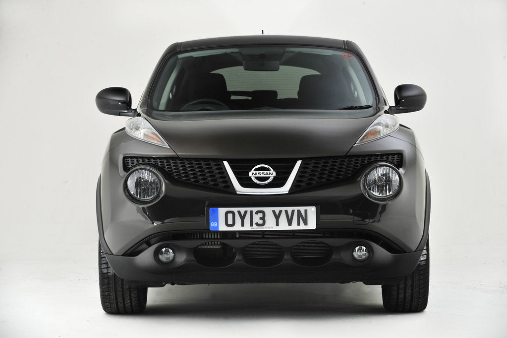 Detail of 2013 Nissan Juke by Unknown