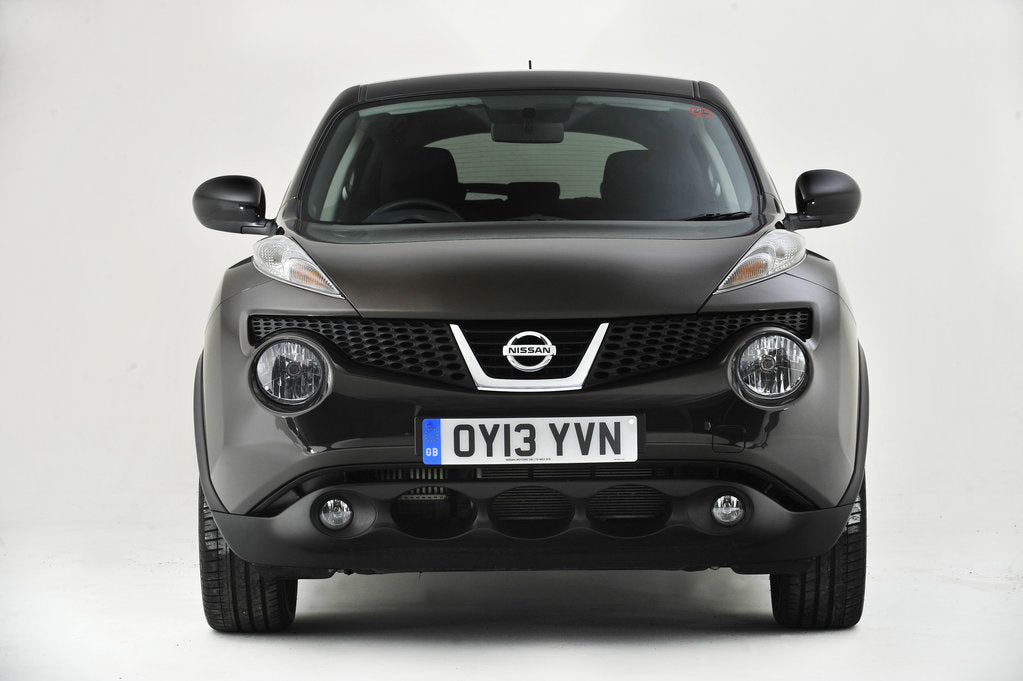 Detail of 2013 Nissan Juke by Unknown