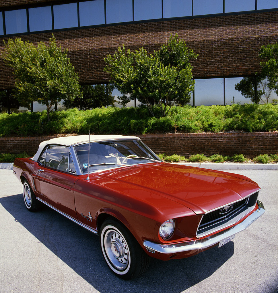 Detail of Ford Mustang Convertible 1968 by Unknown