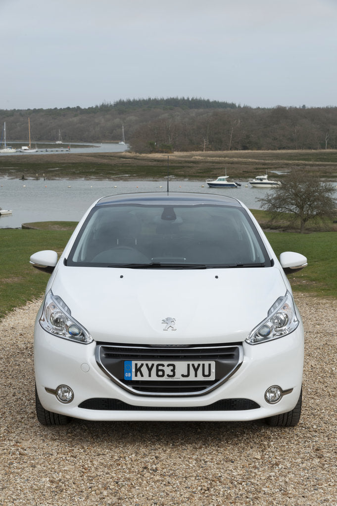 Detail of 2014 Peugeot 208 Hdi by Unknown