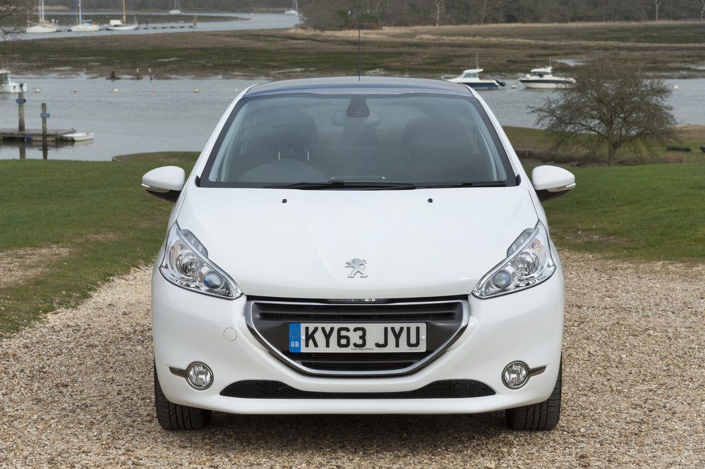 Detail of 2014 Peugeot 208 Hdi by Unknown