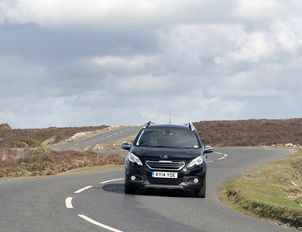 Detail of 2014 Peugeot 2008 Hdi Feline by Unknown