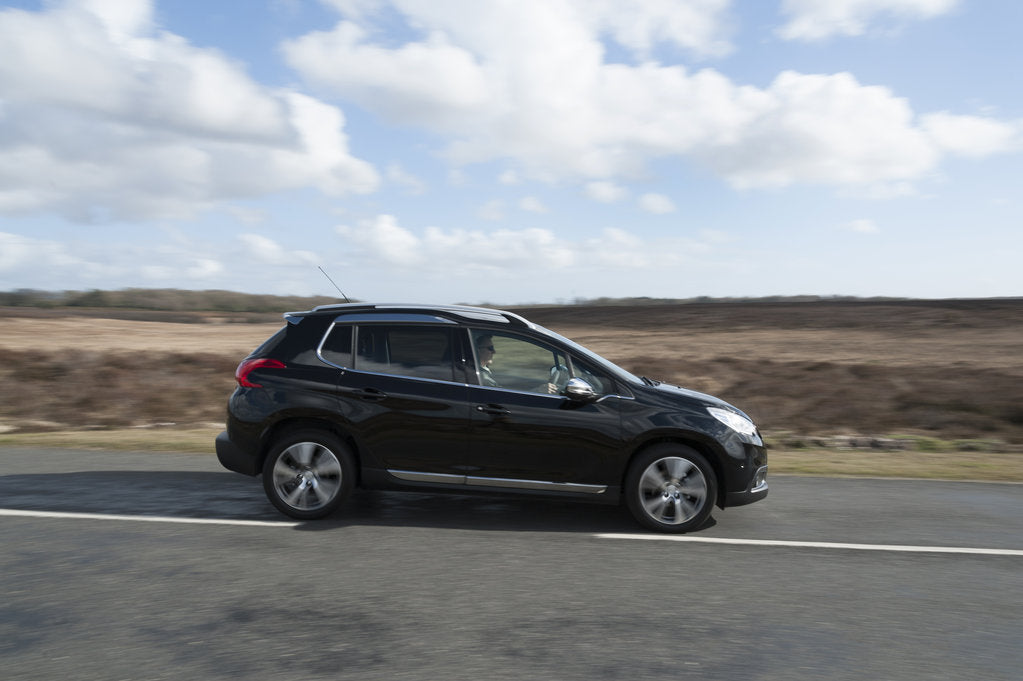 Detail of 2014 Peugeot 2008 Hdi Feline by Unknown