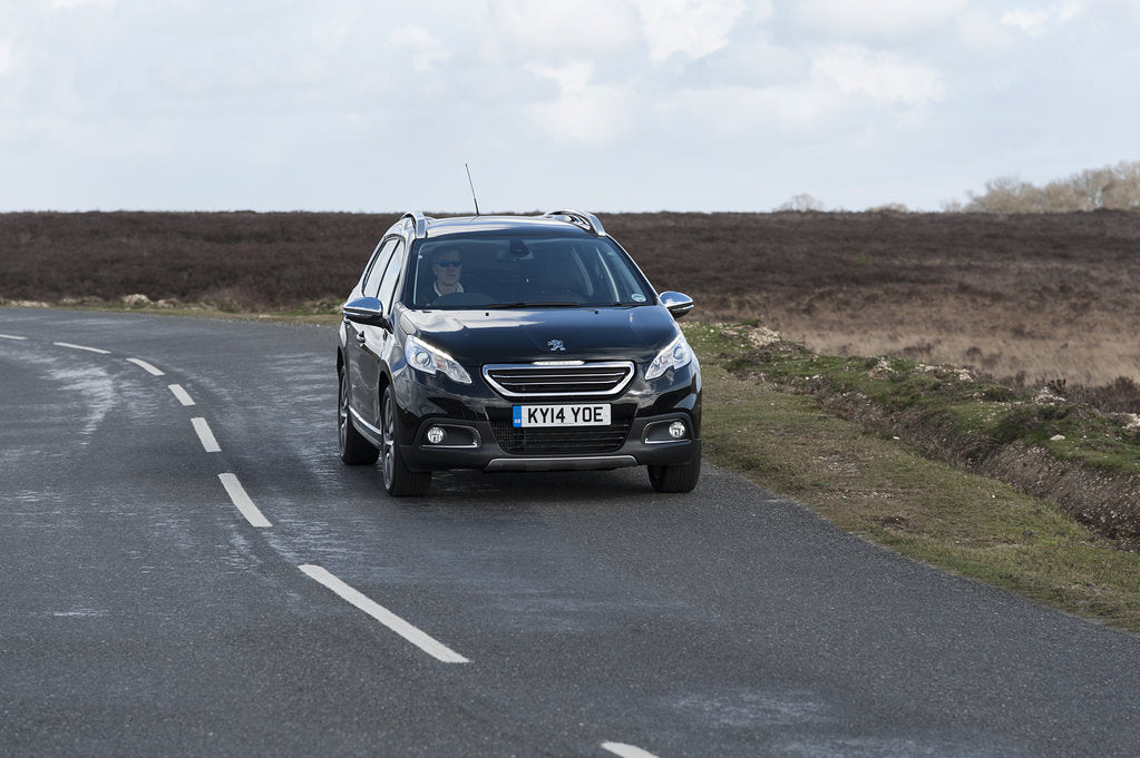 Detail of 2014 Peugeot 2008 Hdi Feline by Unknown