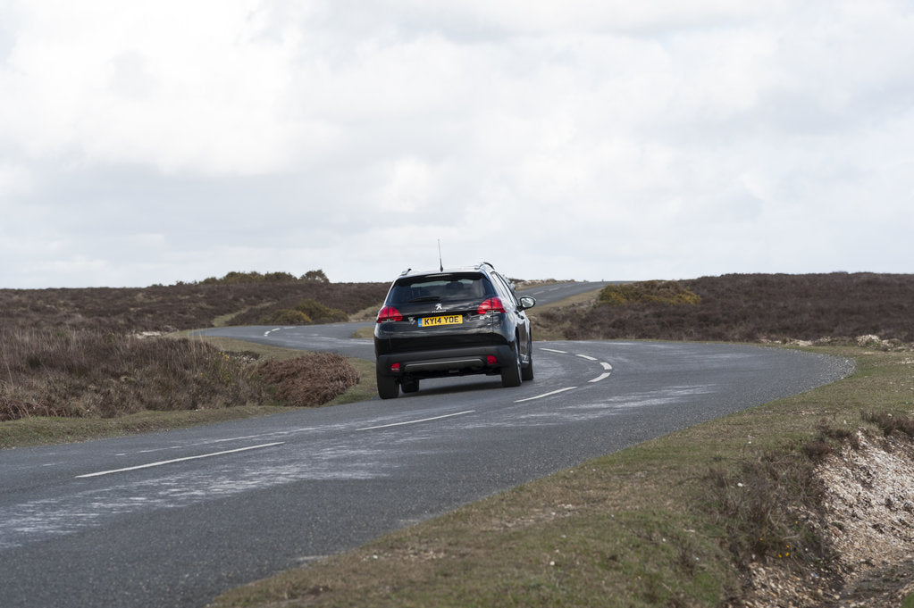 Detail of 2014 Peugeot 2008 Hdi Feline by Unknown