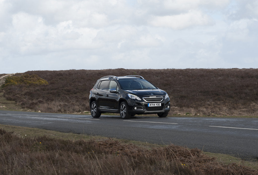 Detail of 2014 Peugeot 2008 Hdi Feline by Unknown