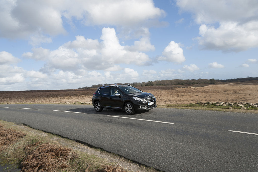 Detail of 2014 Peugeot 2008 Hdi Feline by Unknown