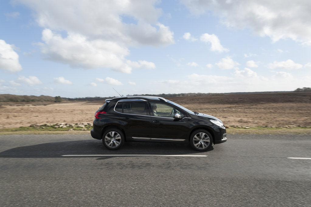 Detail of 2014 Peugeot 2008 Hdi Feline by Unknown