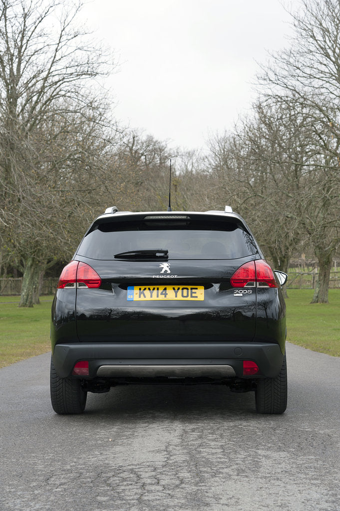 Detail of 2014 Peugeot 2008 Hdi Feline by Unknown