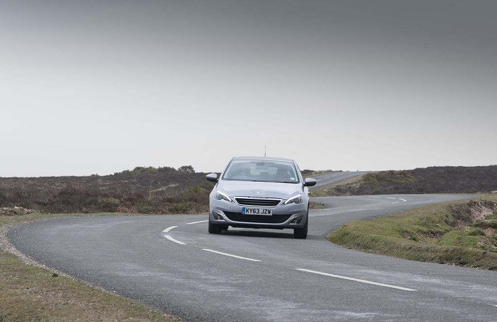 Detail of 2014 Peugeot 308 THP 156 Feline by Unknown
