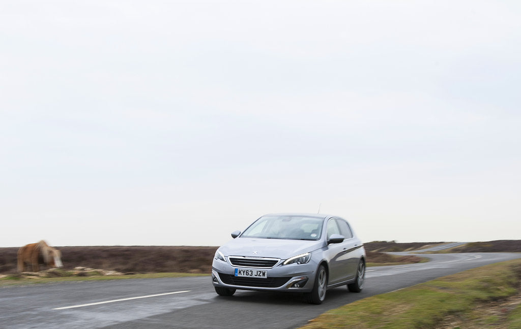 Detail of 2014 Peugeot 308 THP 156 Feline by Unknown